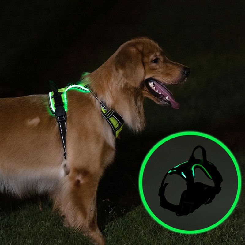 Outdoor dog vest

