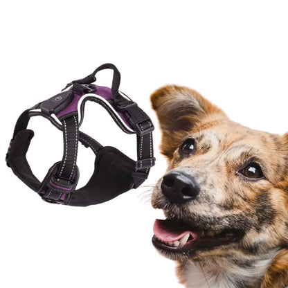 Safety vest for dogs

