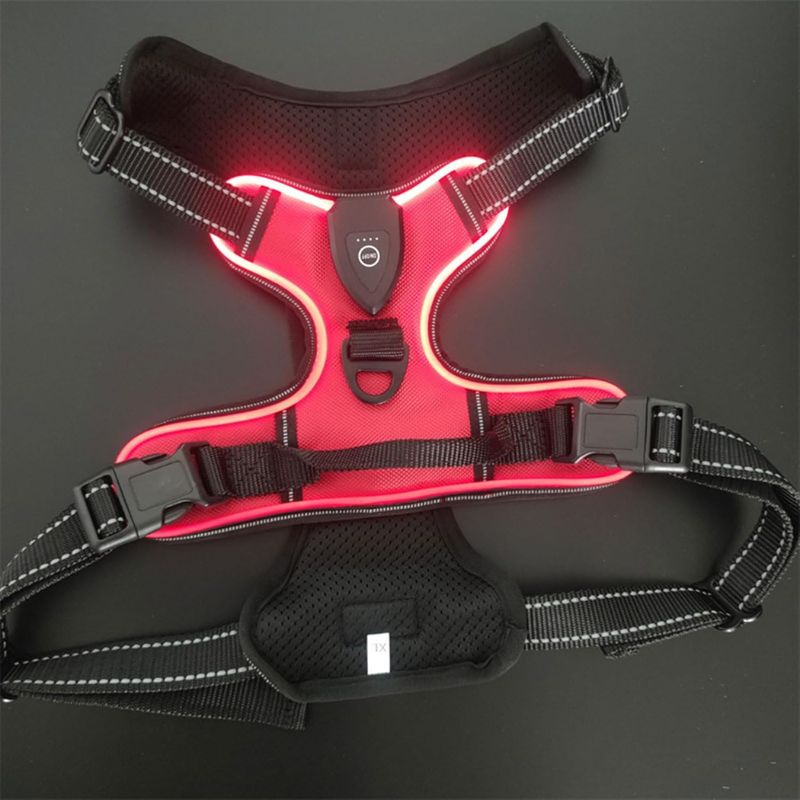 Safety vest for dogs

