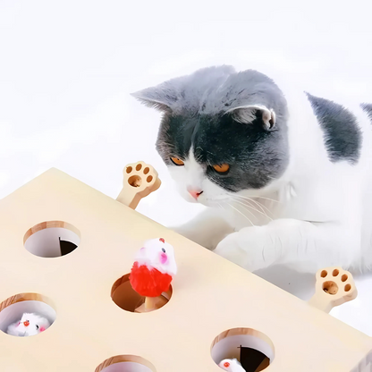 Interactive Cat Puzzle Maze -Sturdy Wooden Cat Toy