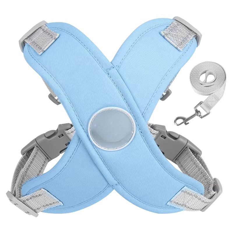 puppy walking harness