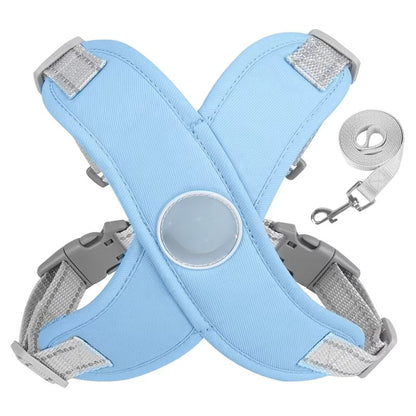 puppy walking harness