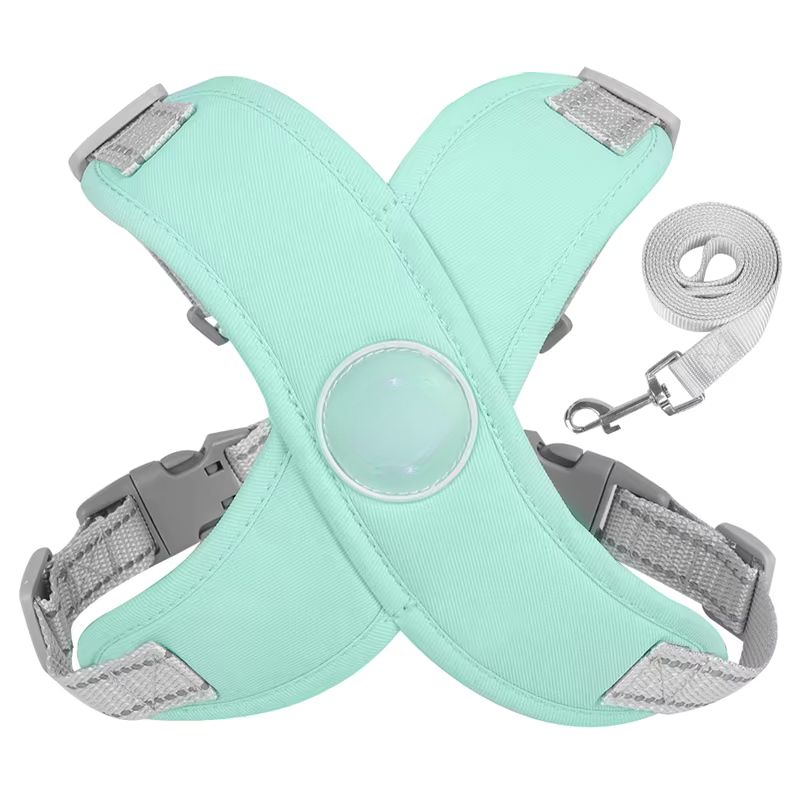 dog harness