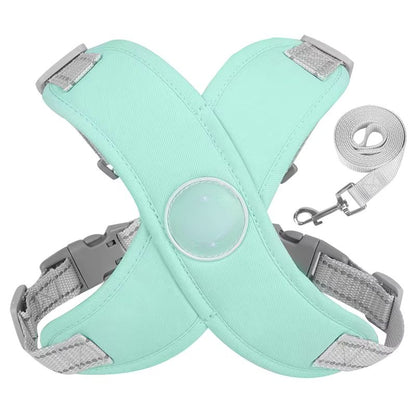 dog harness