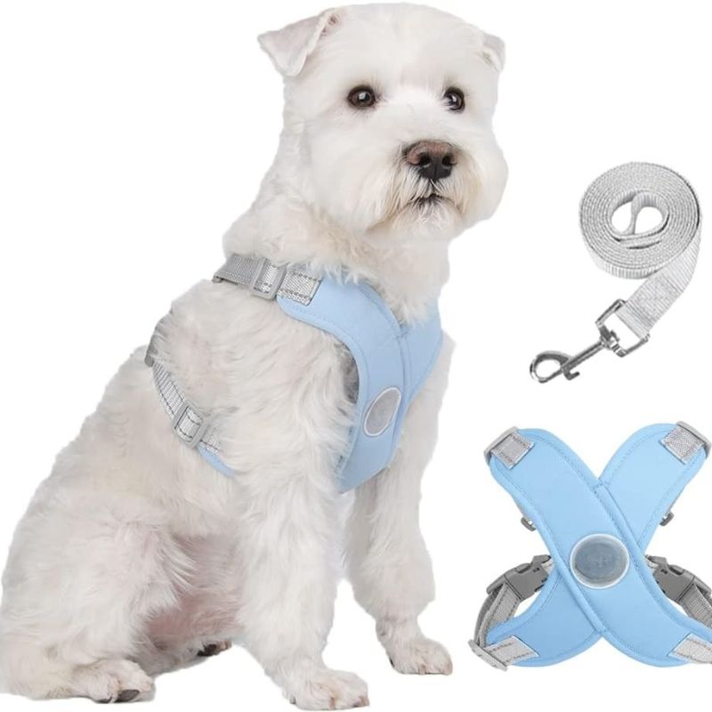  best harness for small dogs