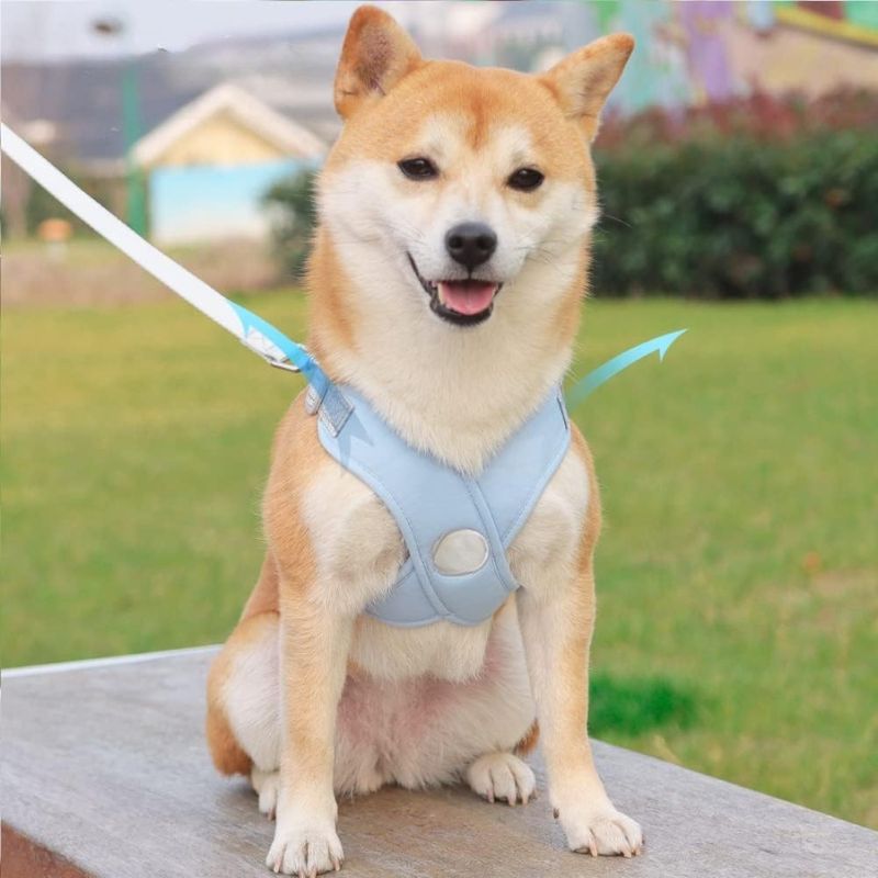 reflective dog harness
