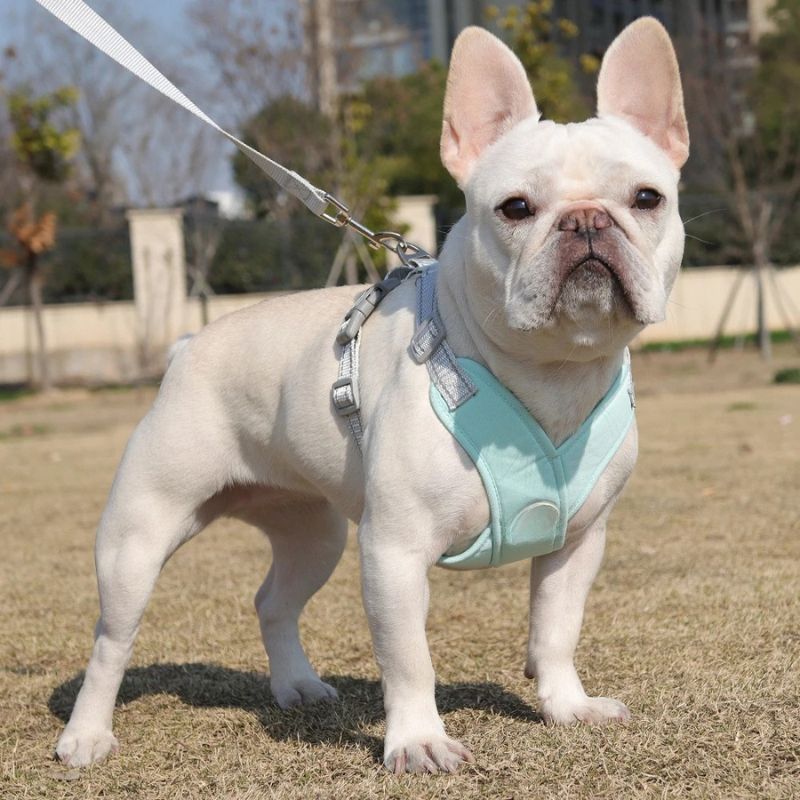  pet harness vest