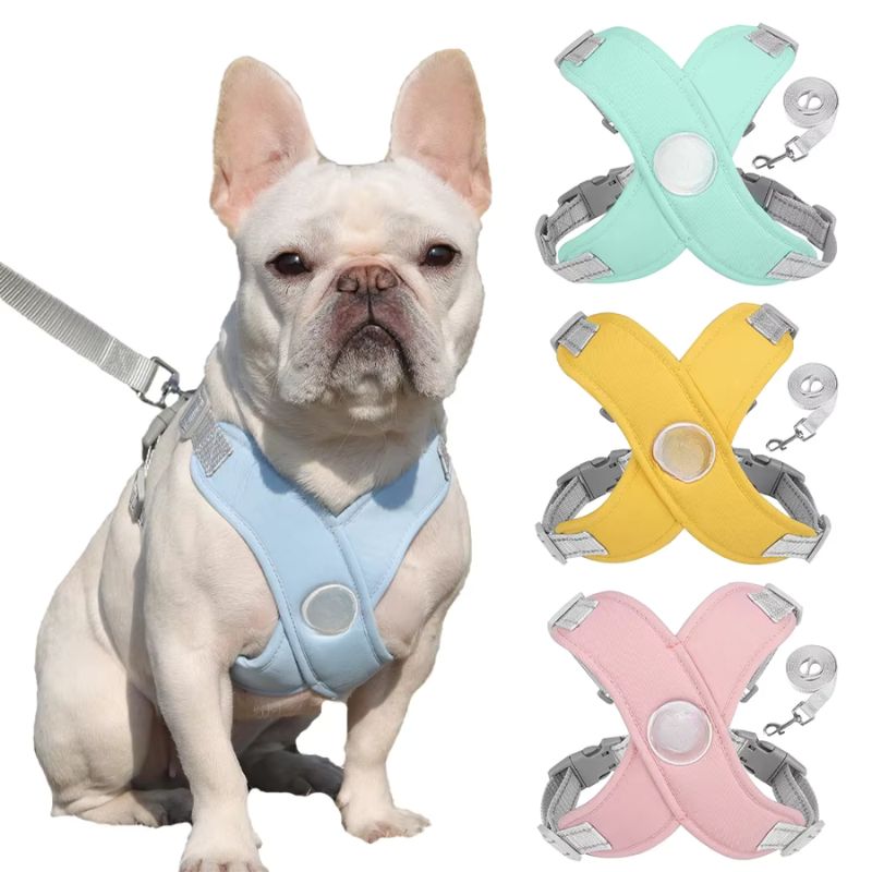 dog harness and leash set